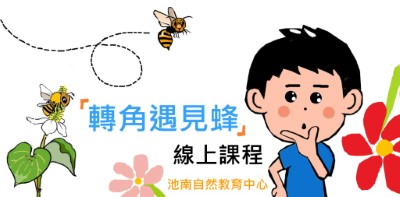 線上課程-轉角遇見蜂